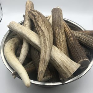 Moose Tines Dog Chew Main Image