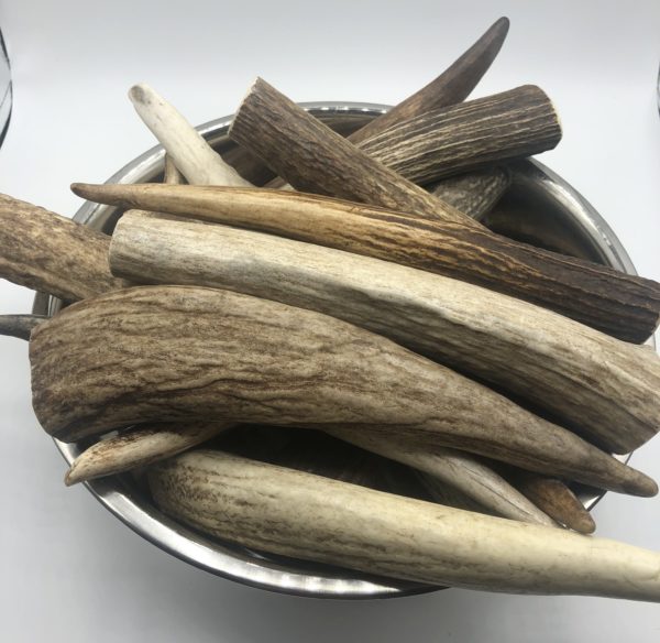 Moose Antler Tinez - Image 4