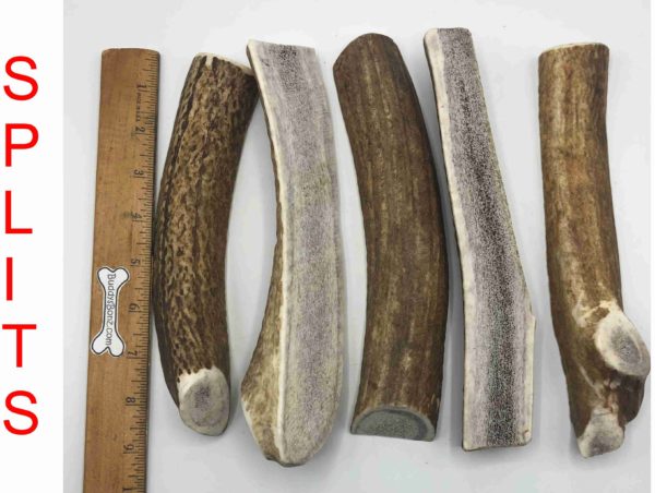 Moose Antler Splitz - Image 4