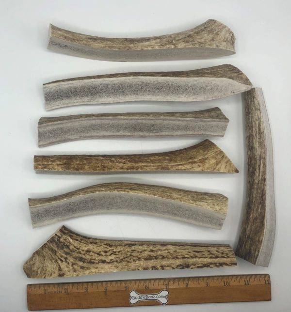 Moose Antler Splitz - Image 3