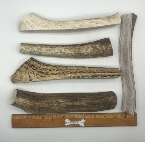 Moose Antler Splitz - Image 5