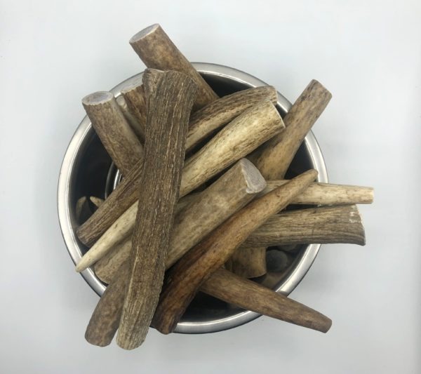 Moose Antler Tinez - Image 5