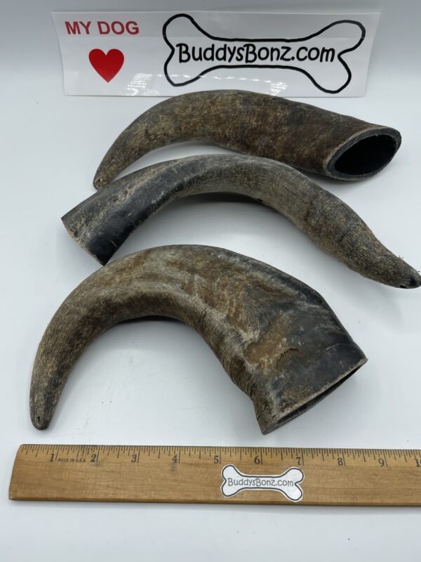 Big Hornz - Image 6