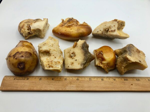 Camo Chewz (Medium) - Image 3