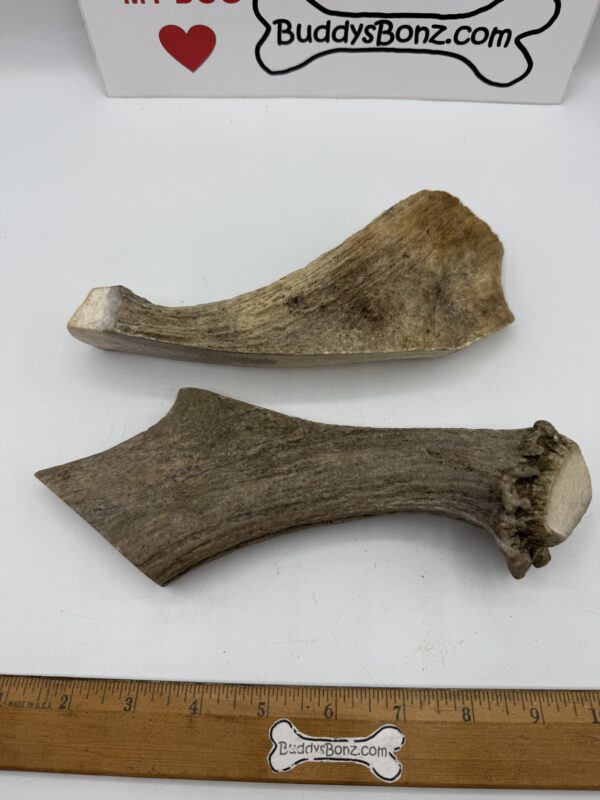 Moose Antler Palmz - Image 6