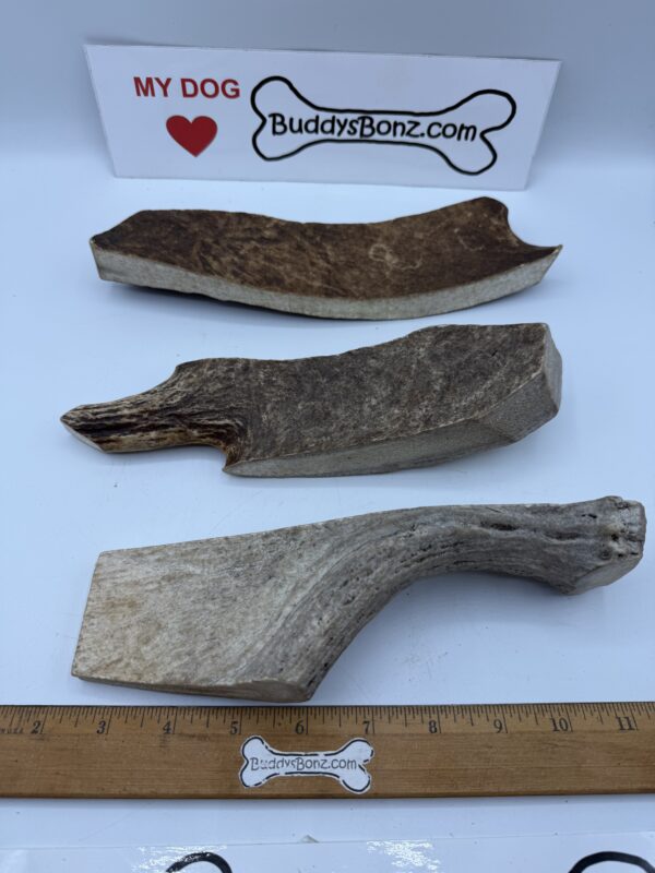 Moose Antler Palmz - Image 5