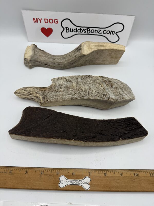 Moose Antler Palmz - Image 3