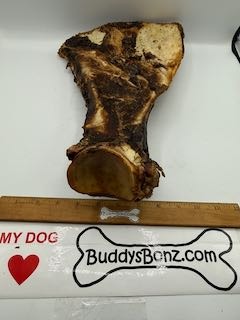 Paddlez - Image 4