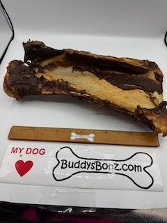 Paddlez - Image 3